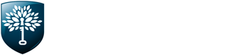 NSI Logo